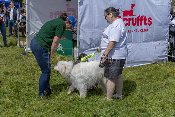 Scruffts @ Hylands Park 5th May 2024-027