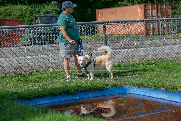 Scruffts Detling Heat 20th Sept 2026-104