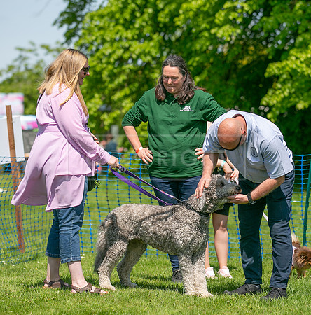 Scruffts at Trentham Park 21st May 2023-31