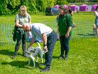 Scruffts at Trentham Park 21st May 2023-07