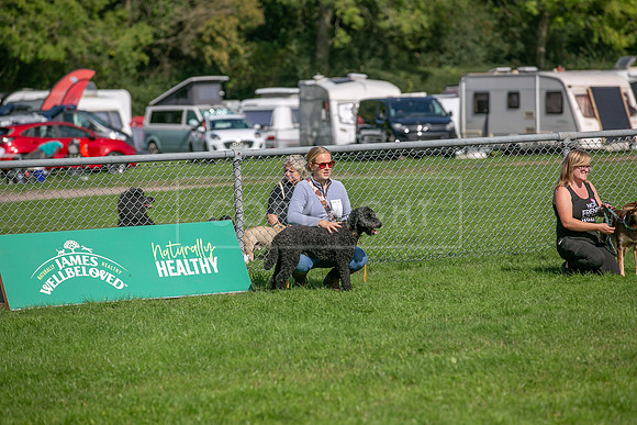 Scruffts Detling Heat 20th Sept 2026-136