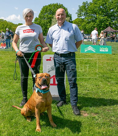 Scruffts at Trentham Park 21st May 2023-16