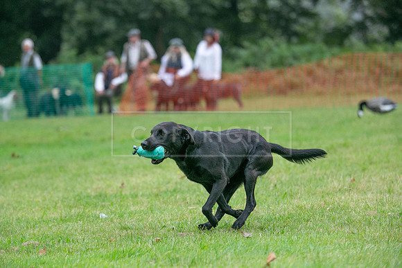 Jixenwell Scurry Challenge Final 2024-0187