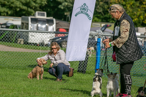 Scruffts Detling Heat 20th Sept 2026-059