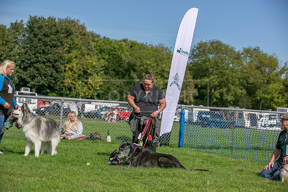 Scruffts Detling Heat 20th Sept 2026-109