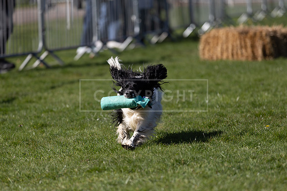 Thoresby Sun 30th Mar 25-083