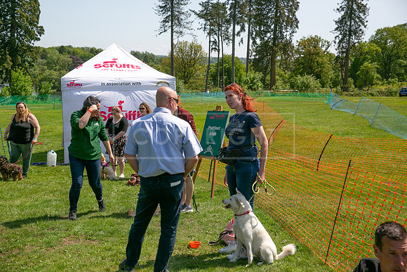 Scruffts at Trentham Park 21st May 2023-35