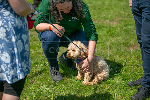 Scruffts at Trentham Park 21st May 2023-15
