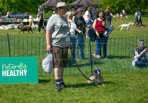 Scruffts at Trentham Park 21st May 2023-27