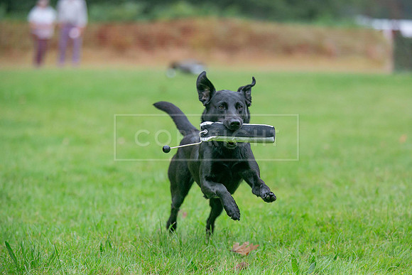 Jixenwell Scurry Challenge Final 2024-0139