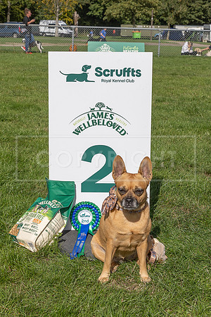 Scruffts Detling Heat 20th Sept 2026-153
