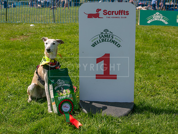Scruffts at Trentham Park 21st May 2023-69