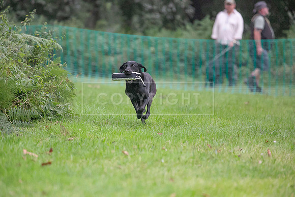 Jixenwell Scurry Challenge Final 2024-0114