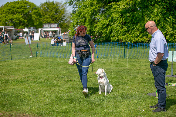Scruffts at Trentham Park 21st May 2023-66