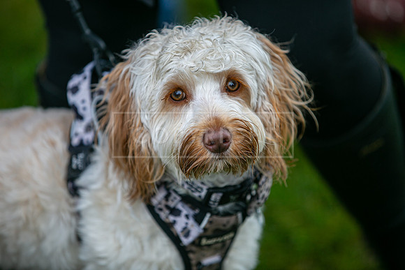 Scruffts  Newark 23 Apr 23-47