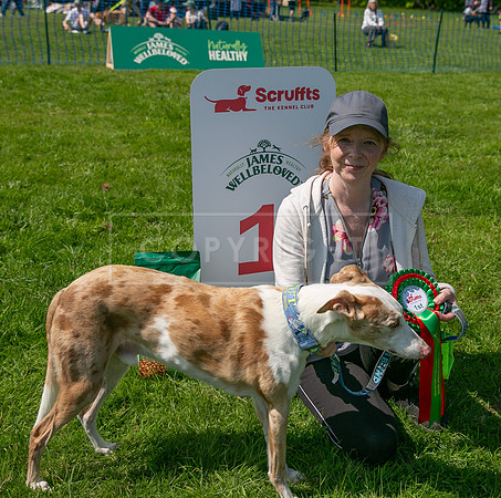 Scruffts at Trentham Park 21st May 2023-60