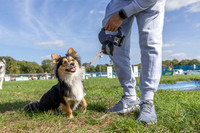 Scruffts Detling Heat 20th Sept 2026-017