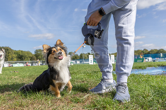 Scruffts Detling Heat 20th Sept 2026-017