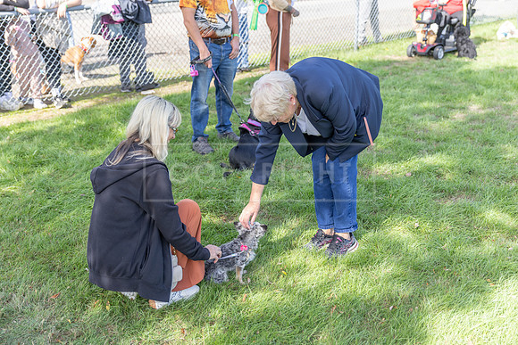Scruffts Detling Heat 20th Sept 2026-061