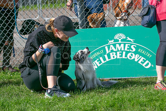Scruffts Detling Heat 20th Sept 2026-025
