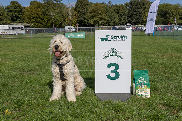 Scruffts Detling Heat 20th Sept 2026-053