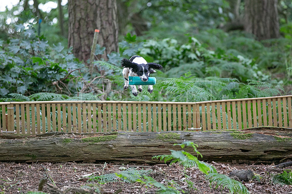 Capesthorne Hall  Sun 18th June 2023-025