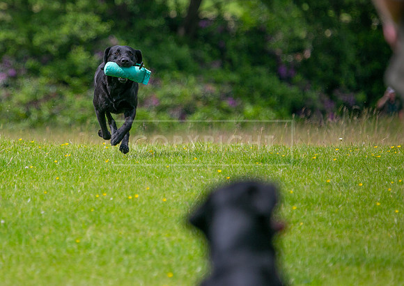 Int Retriever Day 1 -111