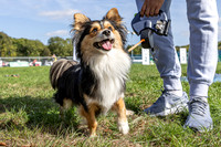 Scruffts Detling Heat 20th Sept 2026-018