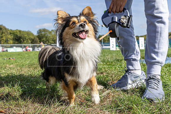 Scruffts Detling Heat 20th Sept 2026-018