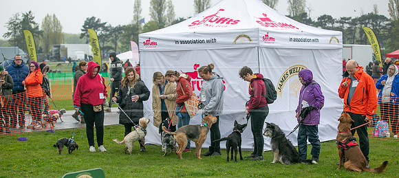 Scruffts  Newark 23 Apr 23-41