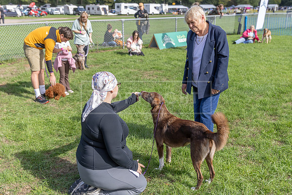 Scruffts Detling Heat 20th Sept 2026-077