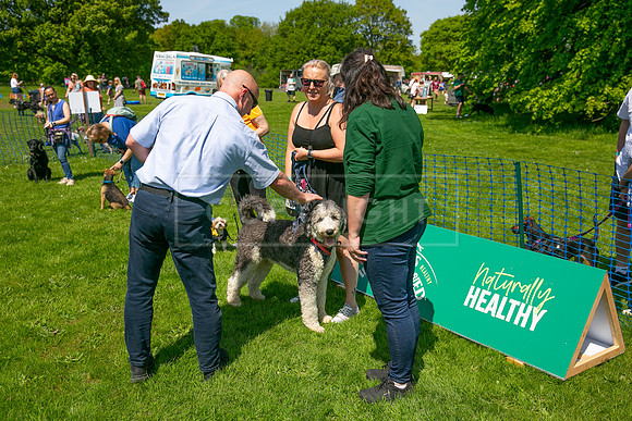 Scruffts at Trentham Park 21st May 2023-08