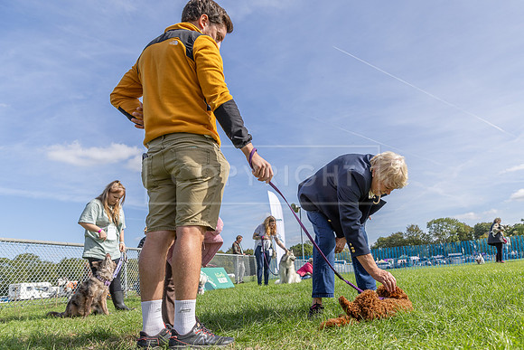 Scruffts Detling Heat 20th Sept 2026-078