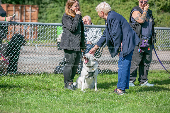Scruffts Detling Heat 20th Sept 2026-067