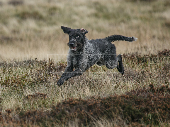 HPR Championships Nov 2021-127