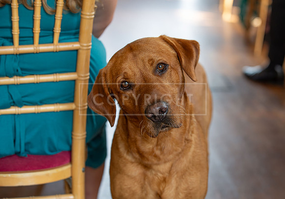 C & E Wedding-258