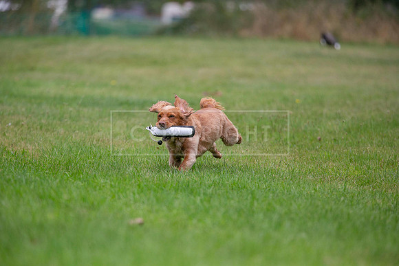Jixenwell Scurry Challenge Final 2024-0381