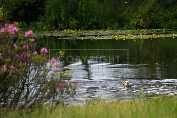 Int Retriever Day 1 -092