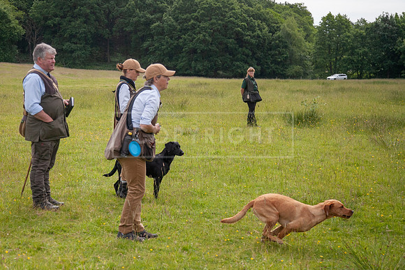 Int Retriever Day 1 -060