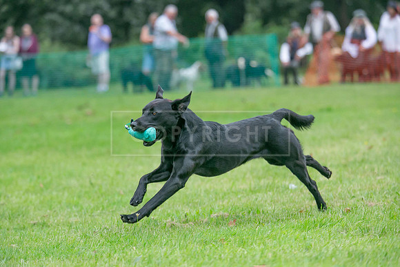 Jixenwell Scurry Challenge Final 2024-0188