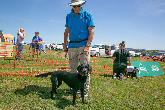 Scruffts heat @ Wadebridge 13th July 2025-68