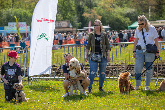 Scruffts @ Hylands Park 5th May 2024-012