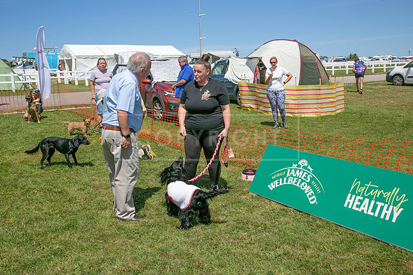 Scruffts heat @ Wadebridge 13th July 2025-73