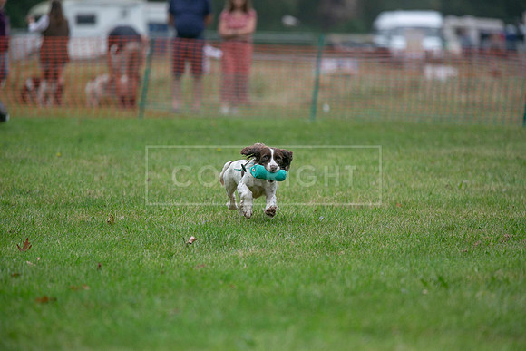 Jixenwell Scurry Challenge Final 2024-0318