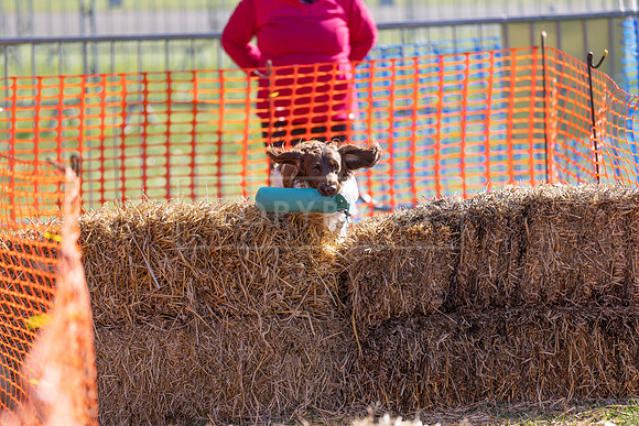 Thoresby Sun 30th Mar 25-025