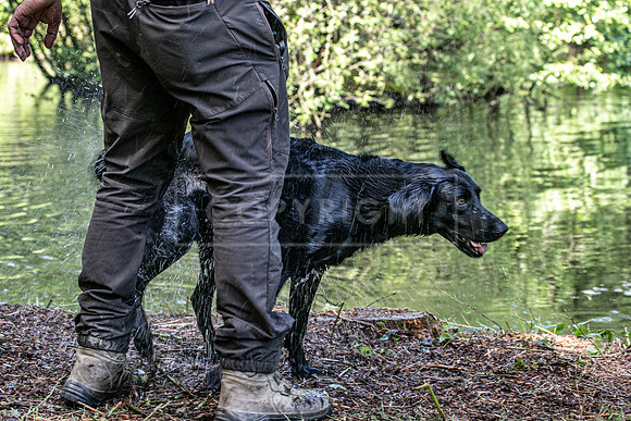 Int Retriever Day 1 -142