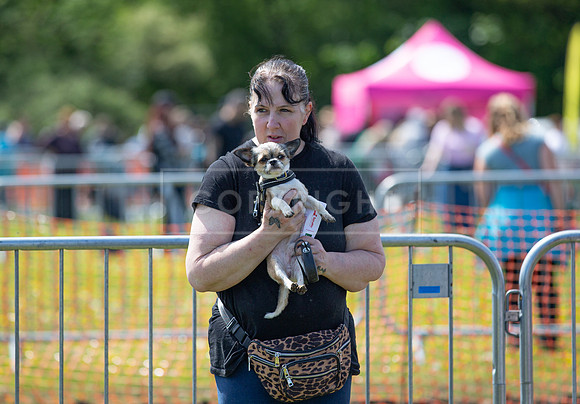 Scruffts @ Hylands Park 5th May 2024-025
