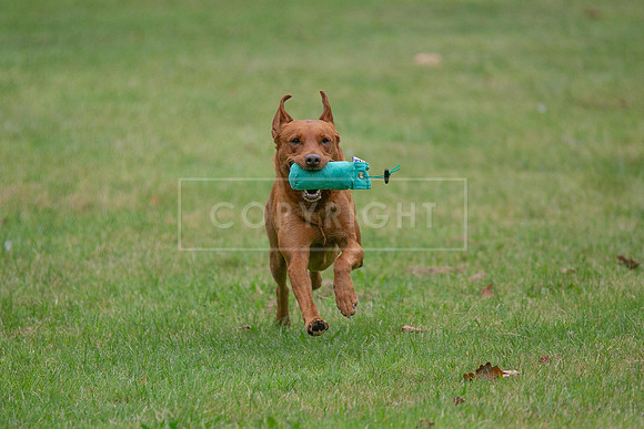 Jixenwell Scurry Challenge Final 2024-0150