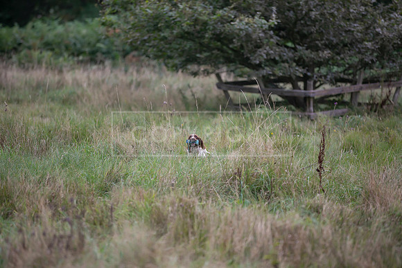 Jixenwell Scurry Challenge Final 2024-0518