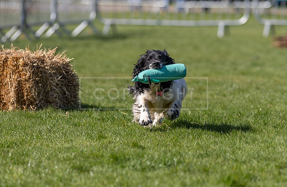 Thoresby Sun 30th Mar 25-095